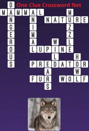 Gray timber wolf Crossword Clue: 1 Answer with 4 Letters.
